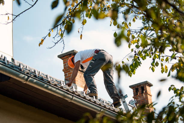 Best Rubber Roofing (EPDM, TPO)  in Hebbronville, TX