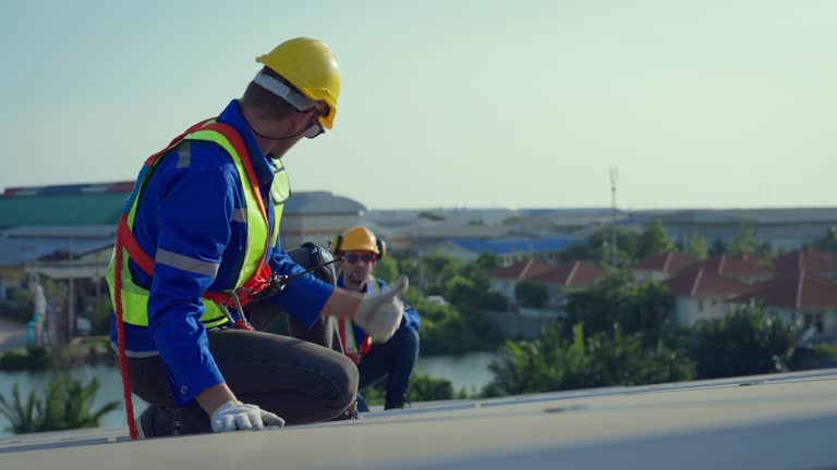 Sheet Metal Roofing in Hebbronville, TX